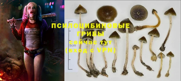 эйфоретик Навашино
