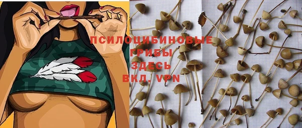 дживик Наволоки