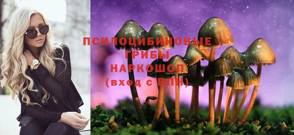 дживик Наволоки
