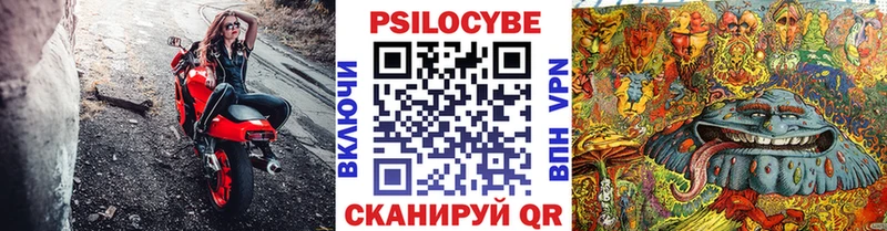 Псилоцибиновые грибы Psilocybine cubensis  Красноярск 