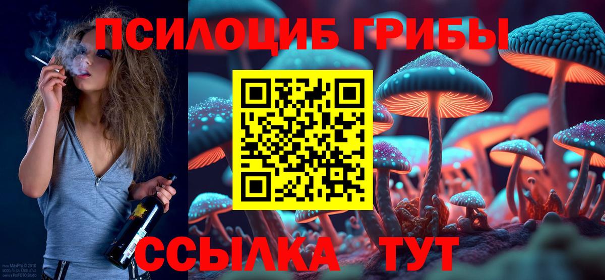 Псилоцибиновые грибы GOLDEN TEACHER  Псилоцибиновые грибы мухоморы  купить   Вход с VPN  Красноярск 